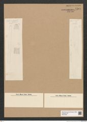Diatomeae indet. Zeichnungen Sammlung Grunow Nr. 5504 (NHMW-BOT-W0373945)